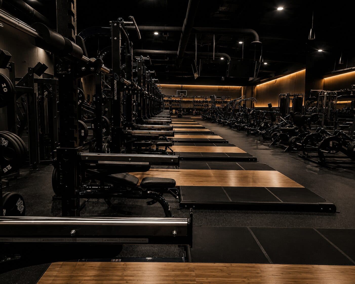 Rows of adjustable benches and racks along the Sanctuary Fitness strength floor, lit by warm accent lighting.