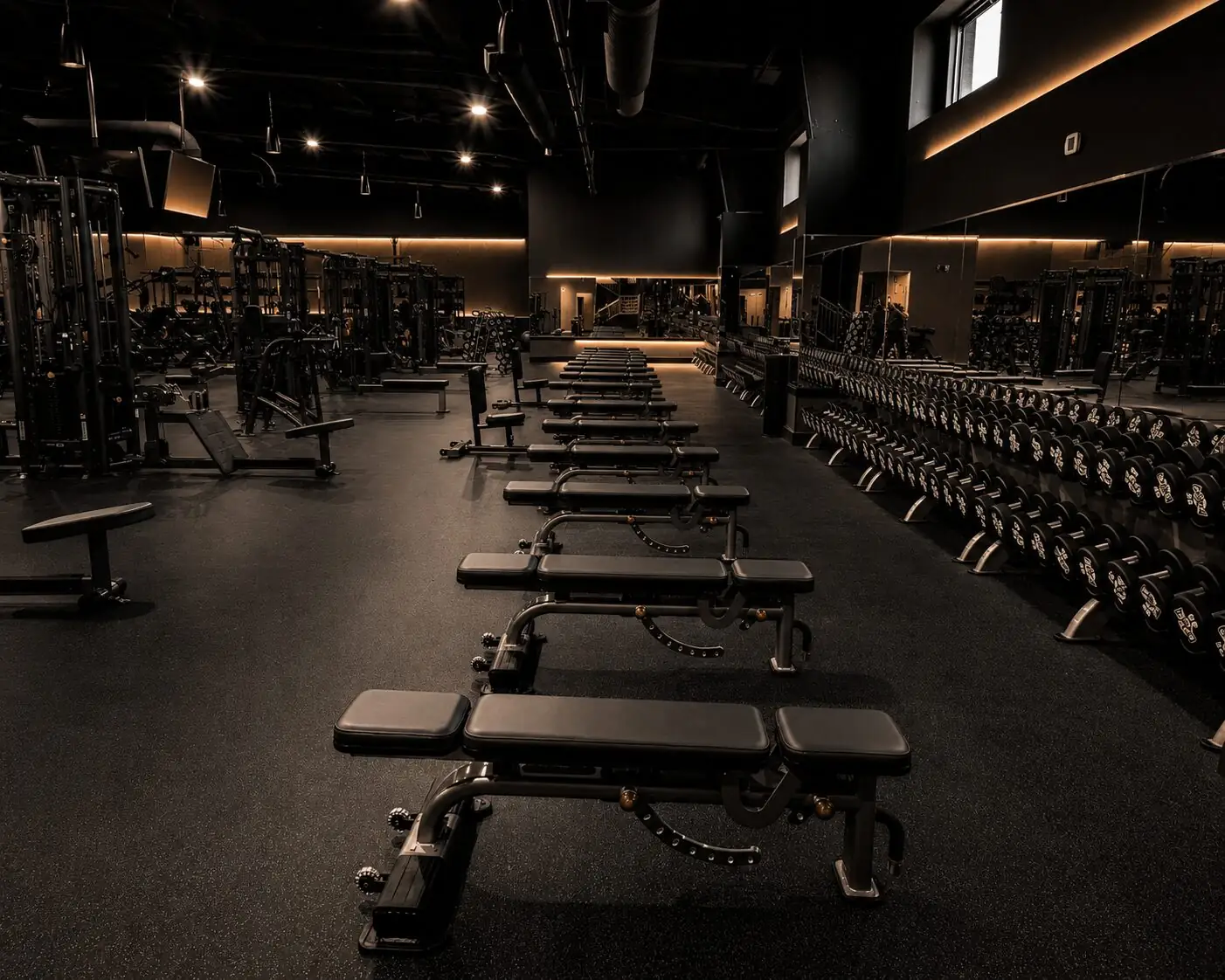 Rows of benches and dumbbell racks on the Sanctuary Fitness strength floor.